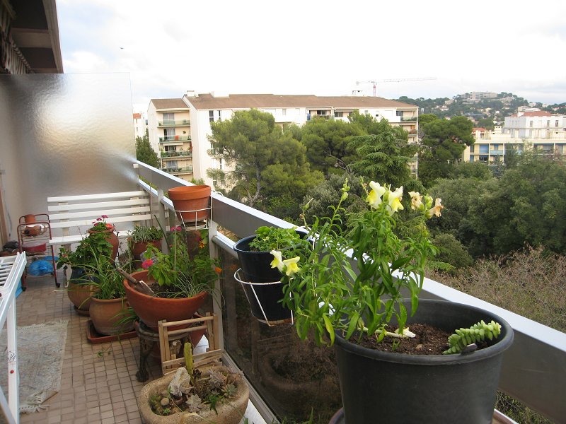 Appartement - TOULON